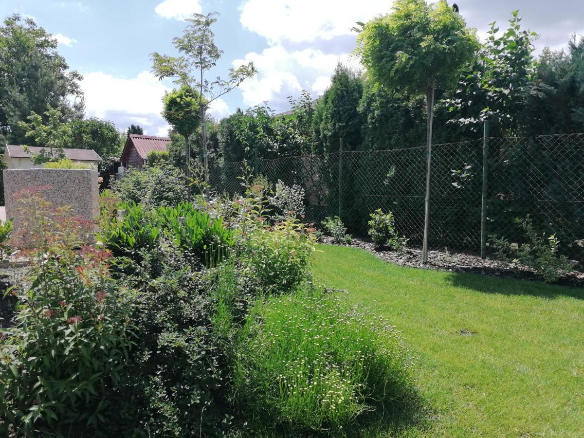 Levelke Mini Apartman Gárdony Buitenkant foto
