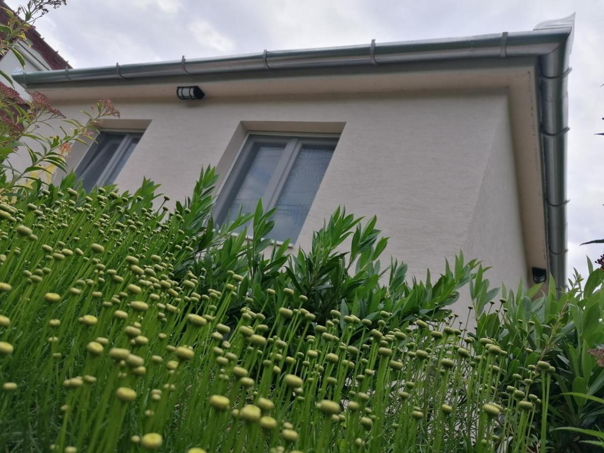 Levelke Mini Apartman Gárdony Buitenkant foto