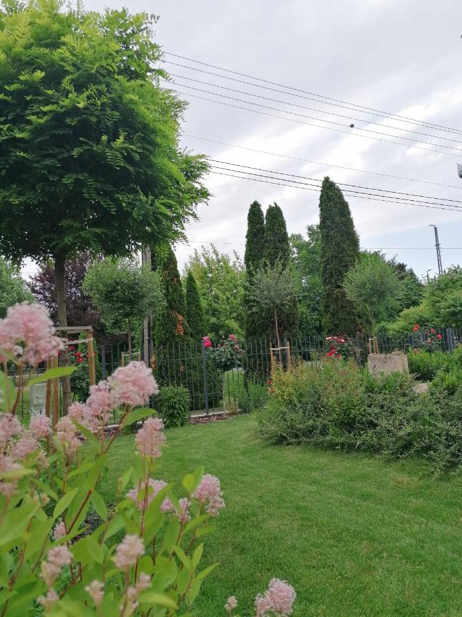 Levelke Mini Apartman Gárdony Buitenkant foto